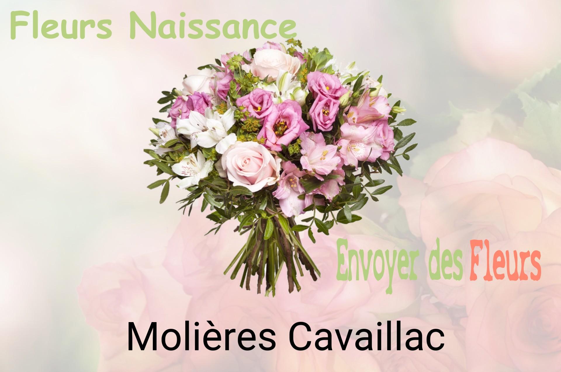 Bouquet de fleurs de naissance livré à Molières-Cavaillac
